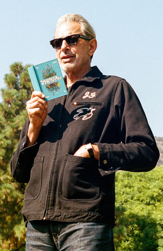 The Little Book of Jeffirmations - Image 4